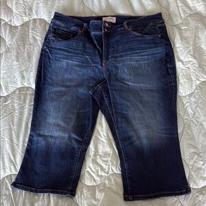 Lane Bryant Capri size 20